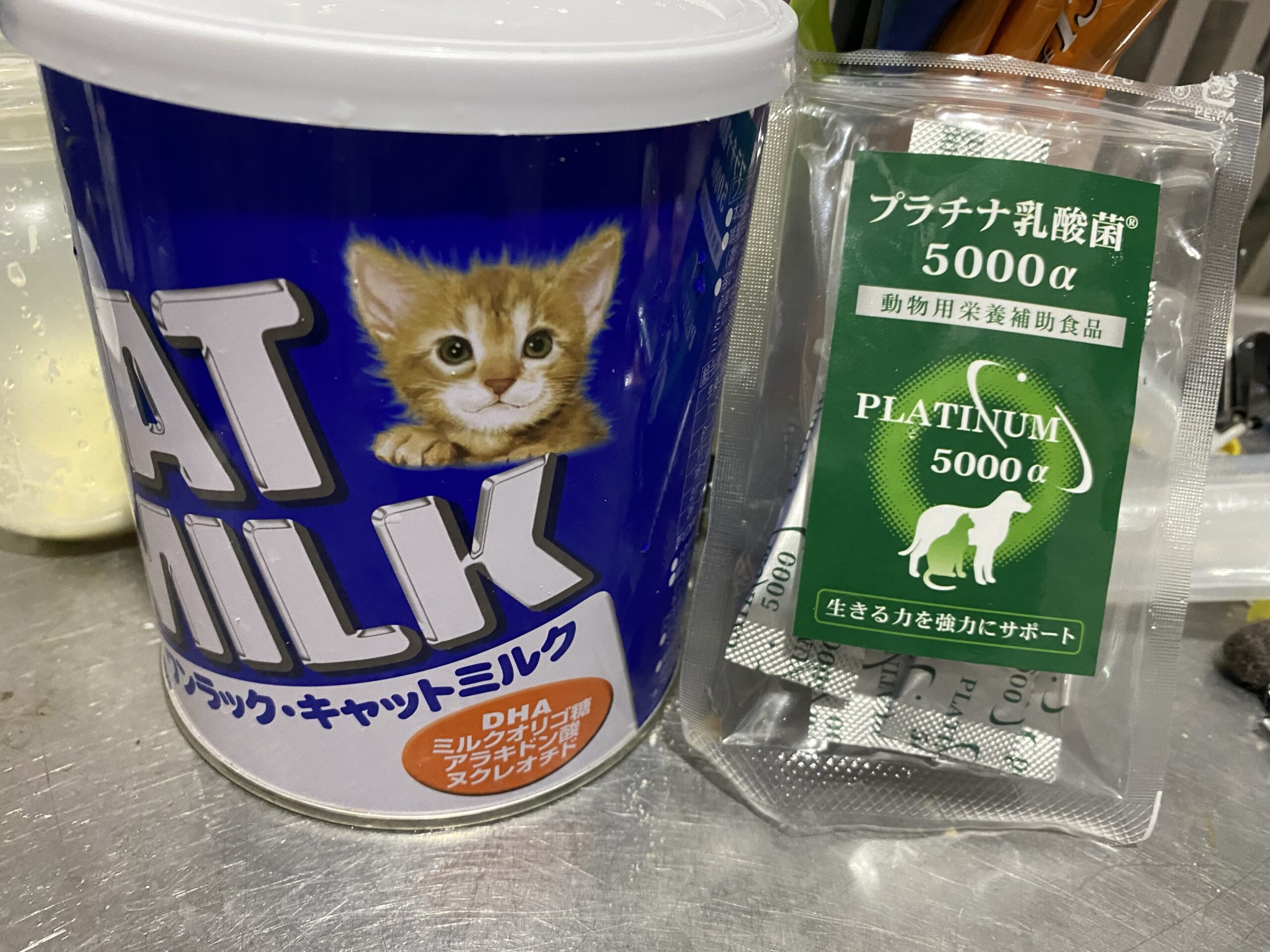 猫ミルク
